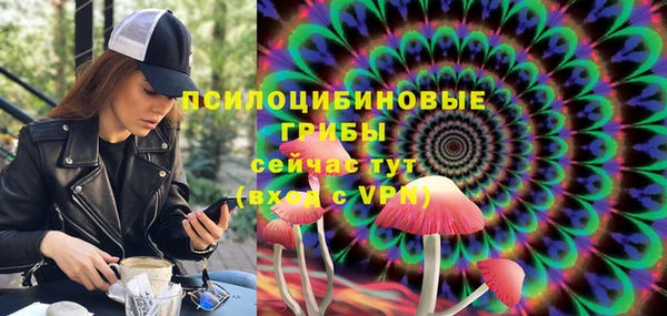 ешки Арсеньев