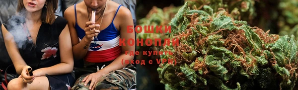 ешки Арсеньев