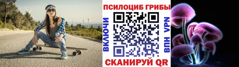 Псилоцибиновые грибы Psilocybine cubensis  Белозерск 